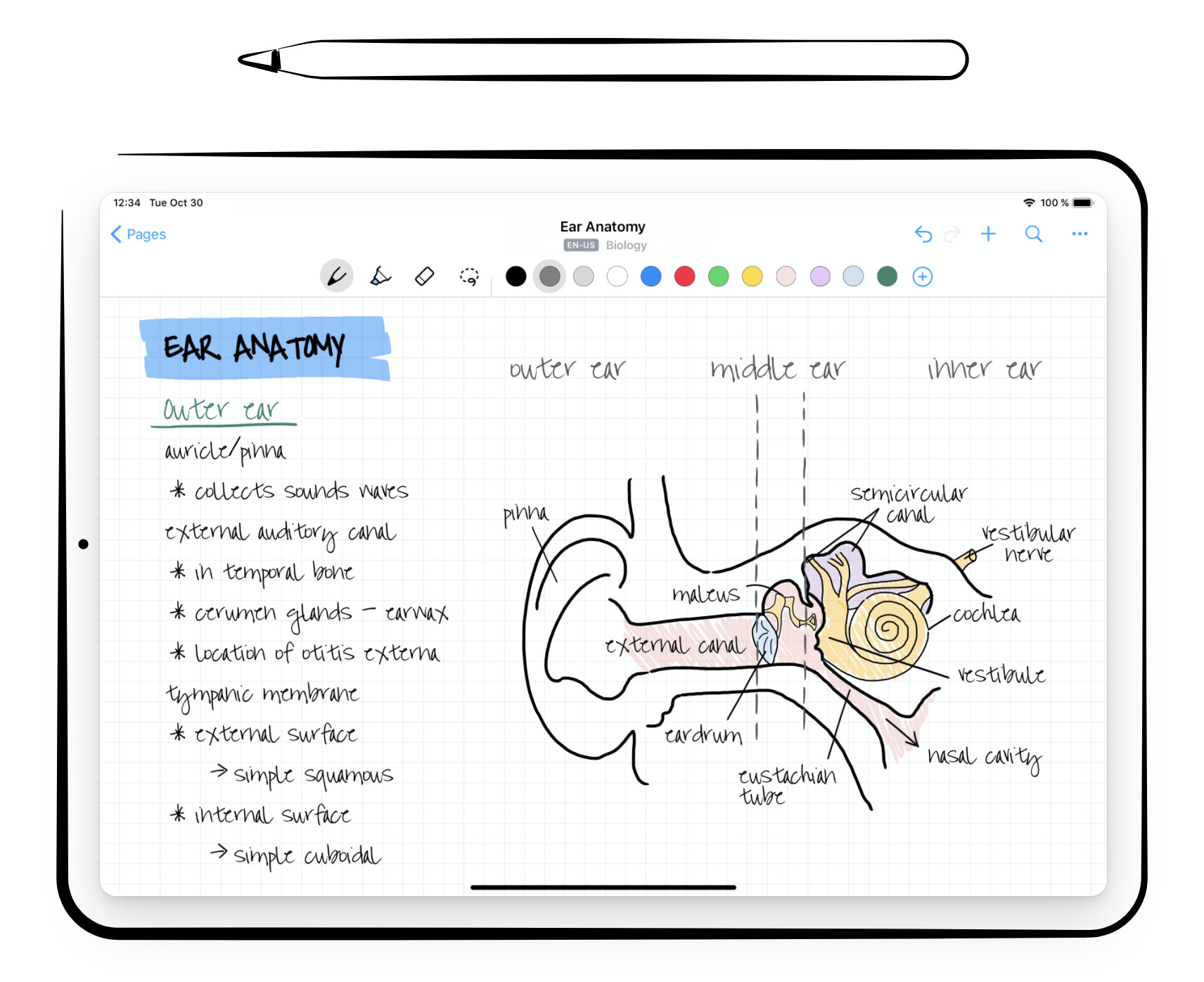 iPadのおすすめ無料ノートアプリ10選【手書きメモ】